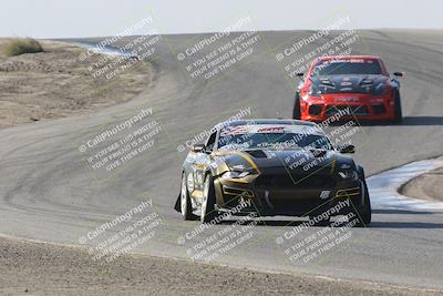 media/Nov-12-2023-GTA Finals Buttonwillow (Sun) [[806b9a7a9a]]/HotPit Autofest/Phil Hill/